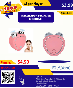 MASAJEADOR FACIAL DE CORRIENTE