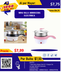 MINI OLLA ARROCERA ELÉCTRICA