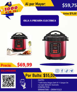 Olla a presión eléctrica
