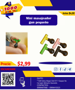 Mini masajeador gn pequeño