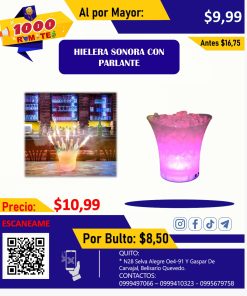 PARLANTE HIELERA