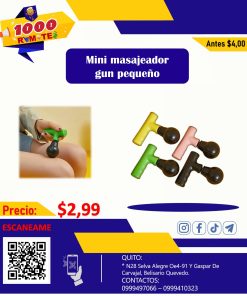 Mini masajeador gn pequeño