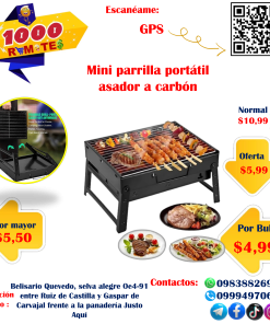 Parrilla Mini Plegable Portátil En Promoción